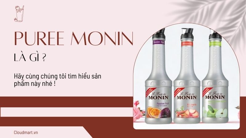 Tổng quan về Puree Monin