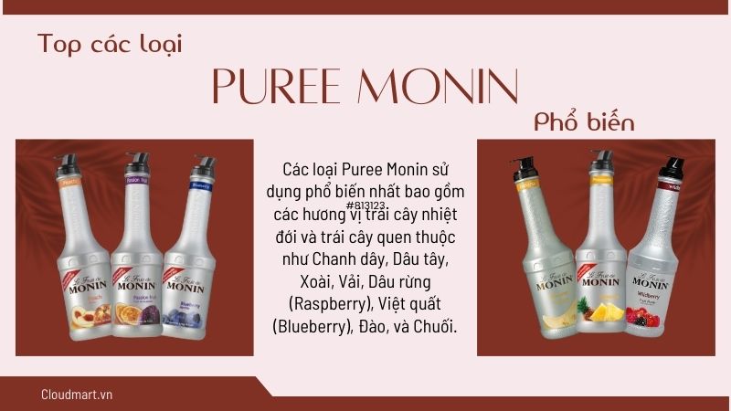 Các loại Puree Monin trên thị trường