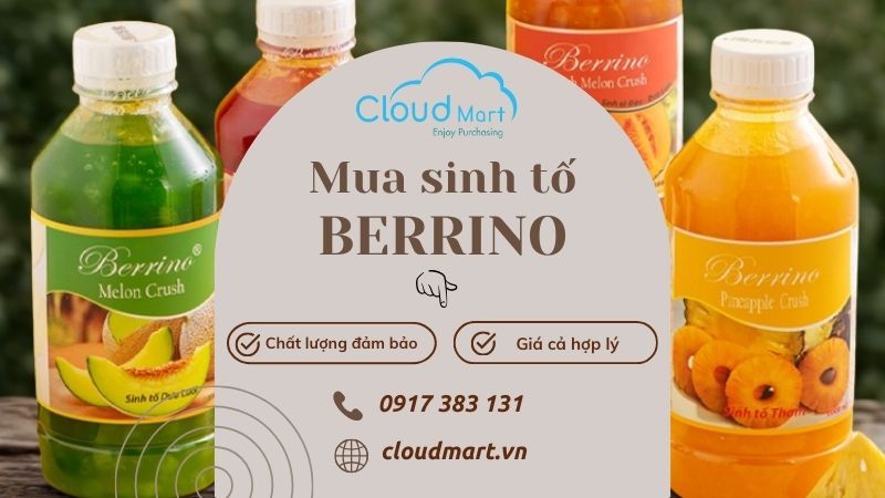 Mua sinh tố Berrino giá tốt tại Cloudmart