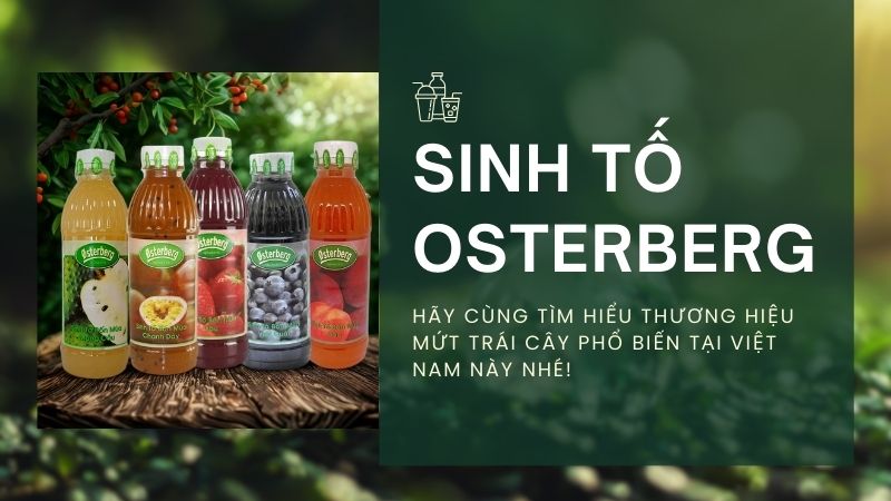 Tổng quan sinh tố Berrino