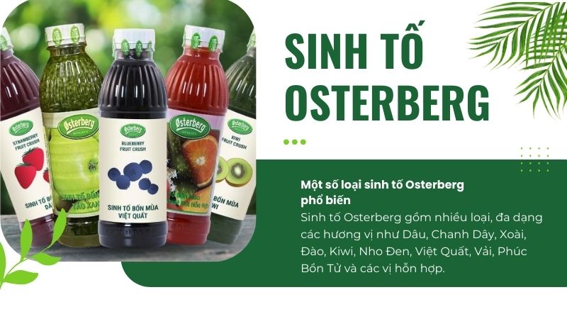 Các loại sinh tố Berrino trên thị trường